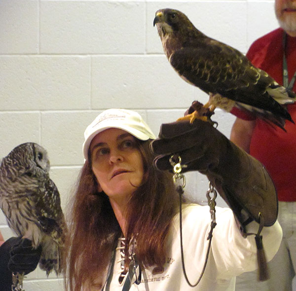 Tina with broad-winged hawk